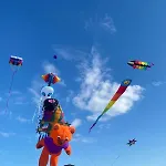 Blockhuette Fanø