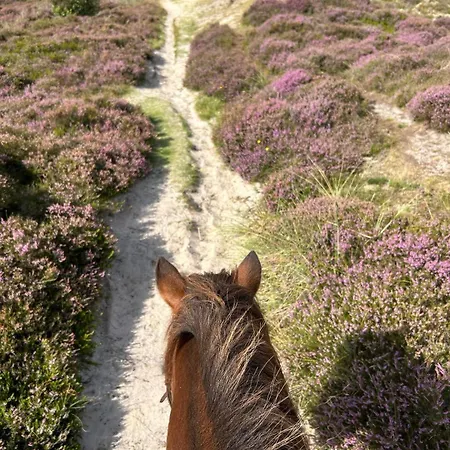 Blockhuette Appartamento