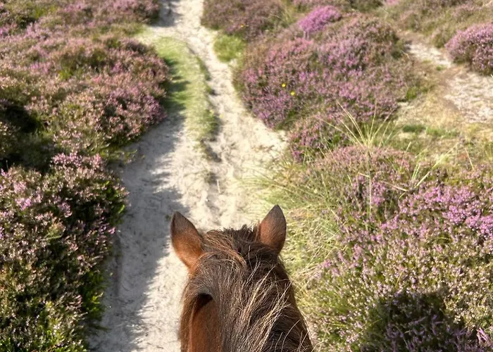 Blockhütte Apartment