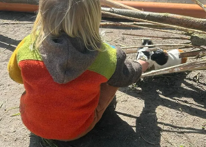 Apartment Blockhütte Fanø